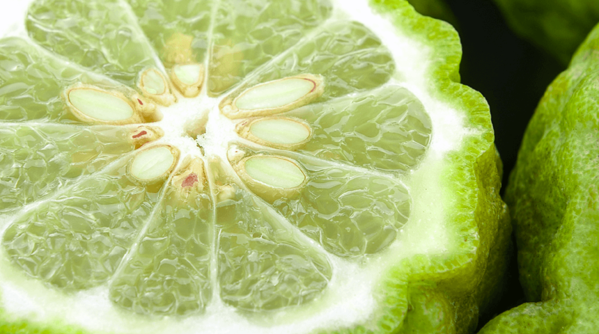 Kokusu mest eder: Bergamotun bir an &ouml;nce &ouml;ğrenmeniz gereken faydaları