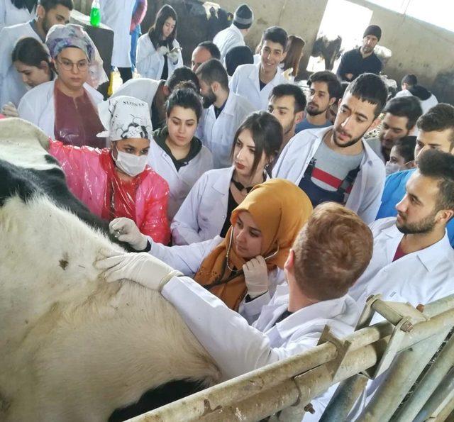 GAÜN Veteriner bölümü öğrencileri sahaya indi