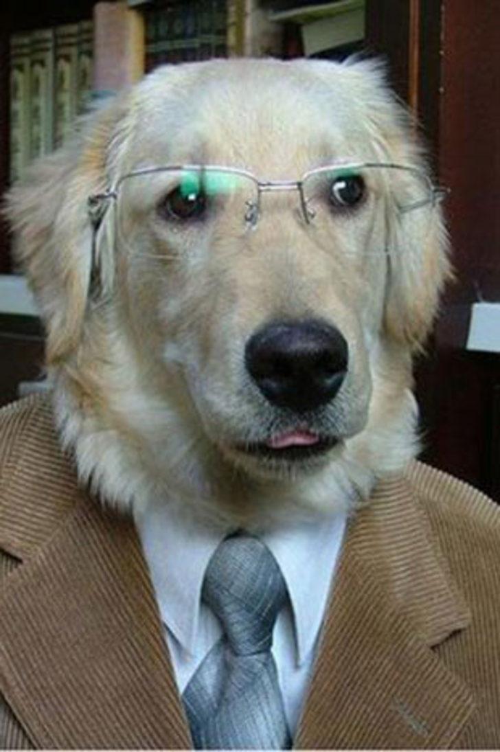 Kendi elleriyle köpek maskesi Kendi elleriyle köpek maskesi
