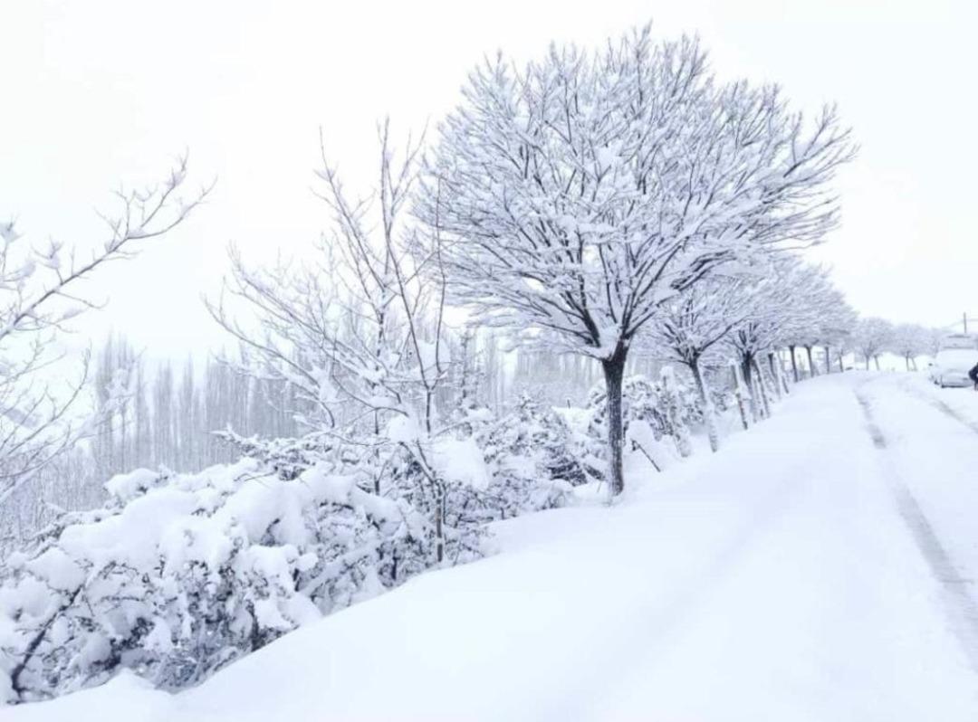 Bah&ccedil;esaray beyaza b&uuml;r&uuml;nd&uuml;