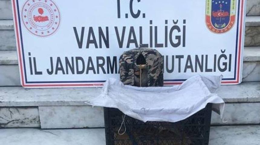 Van&rsquo;da kafes avcısına ceza