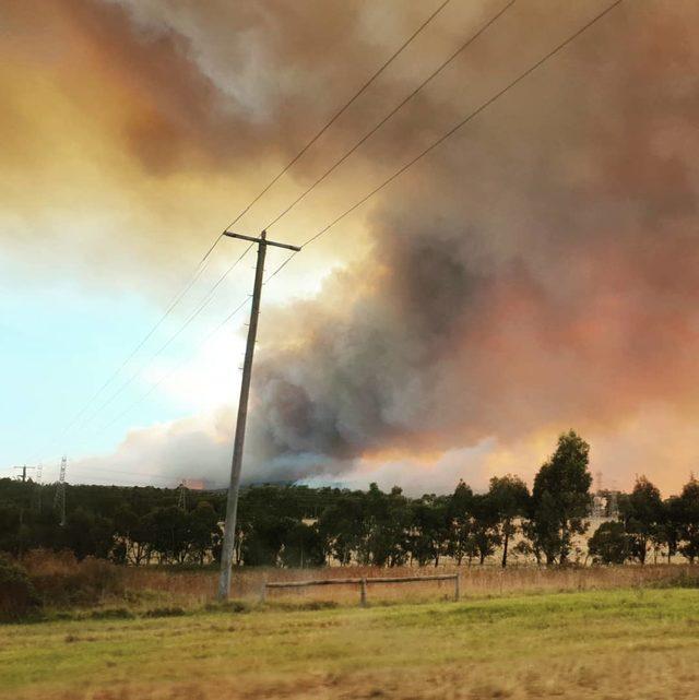 Avustralya'da 'orman yangını' alarmı