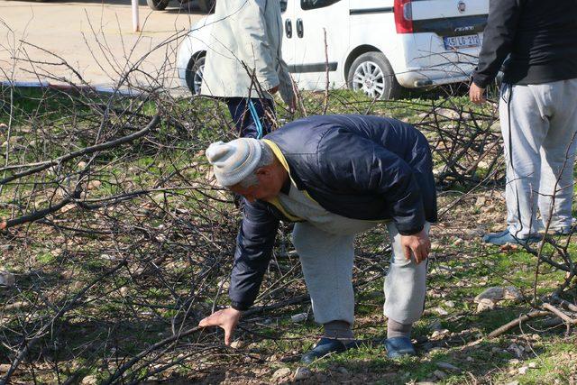 Tarımla terapi