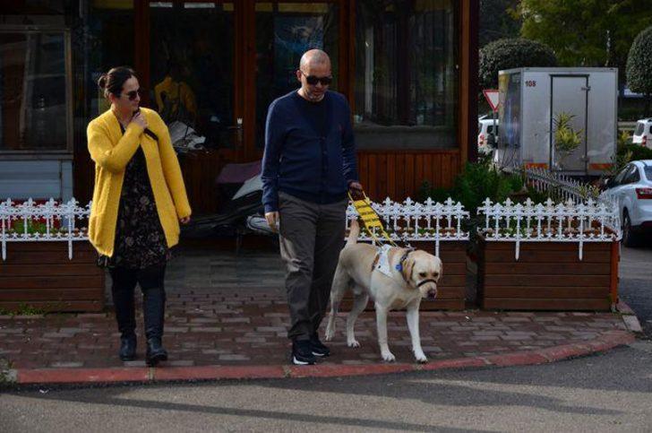 'Bobby' görme engelli gazinin hayatını değiştirdi  G4