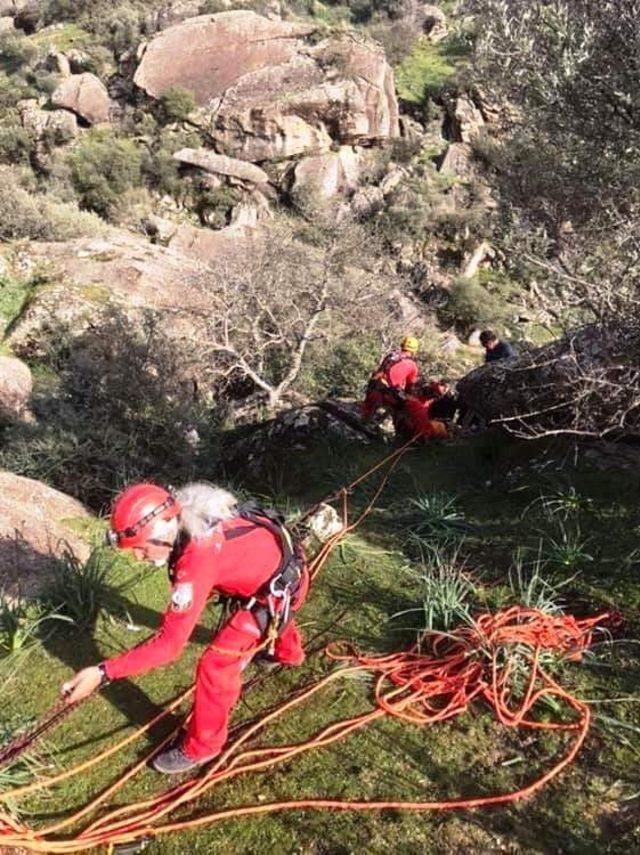 AKUT ve itfaiye kayalıklara düşen inek ve buzağısı için seferber oldu