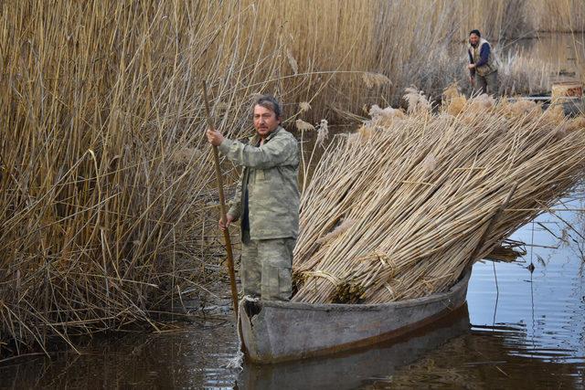 Kirlenen Eber Gölü'nde balık yerine kamıştan ekmeklerini kazanıyorlar