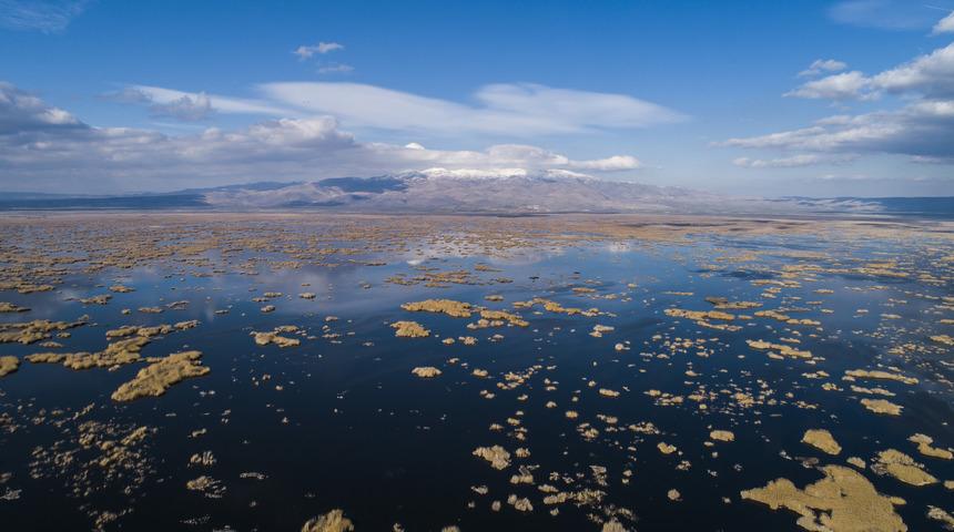 Kirlenen Eber G&ouml;l&uuml;'nde balık yerine kamıştan ekmeklerini kazanıyorlar