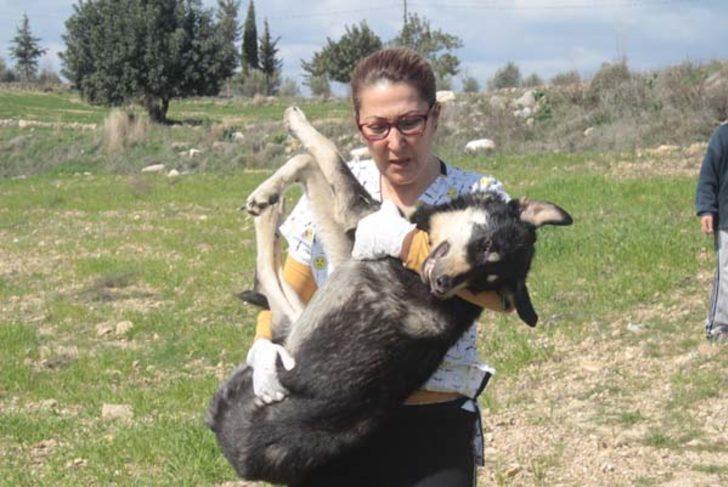 3 gündür bu haldeydi! Sonunda kurtuldu G1