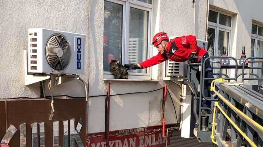 Pencereye çıkan kediyi, itfaiye indirdi