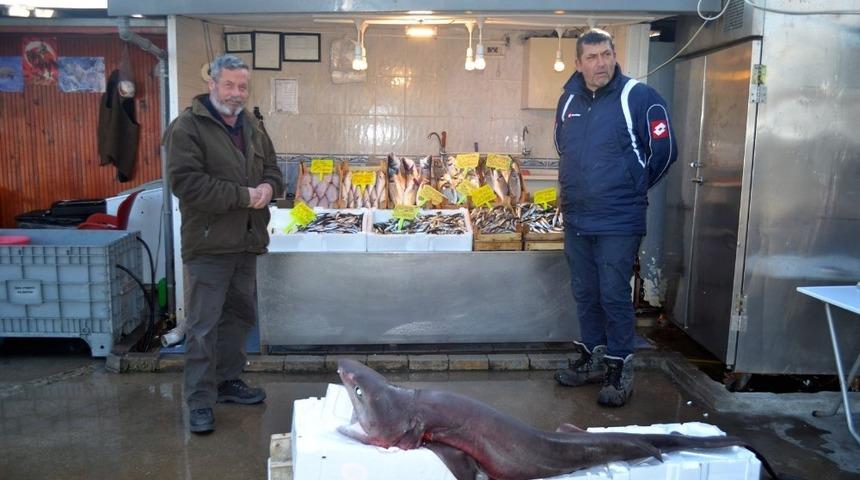 (&Ouml;zel) Bursa&rsquo;da balık&ccedil;ı ağlarına dev k&ouml;pek balığı takıldı