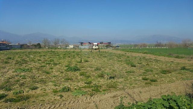 Aydın’da drone ile ilaçlama yapıldı