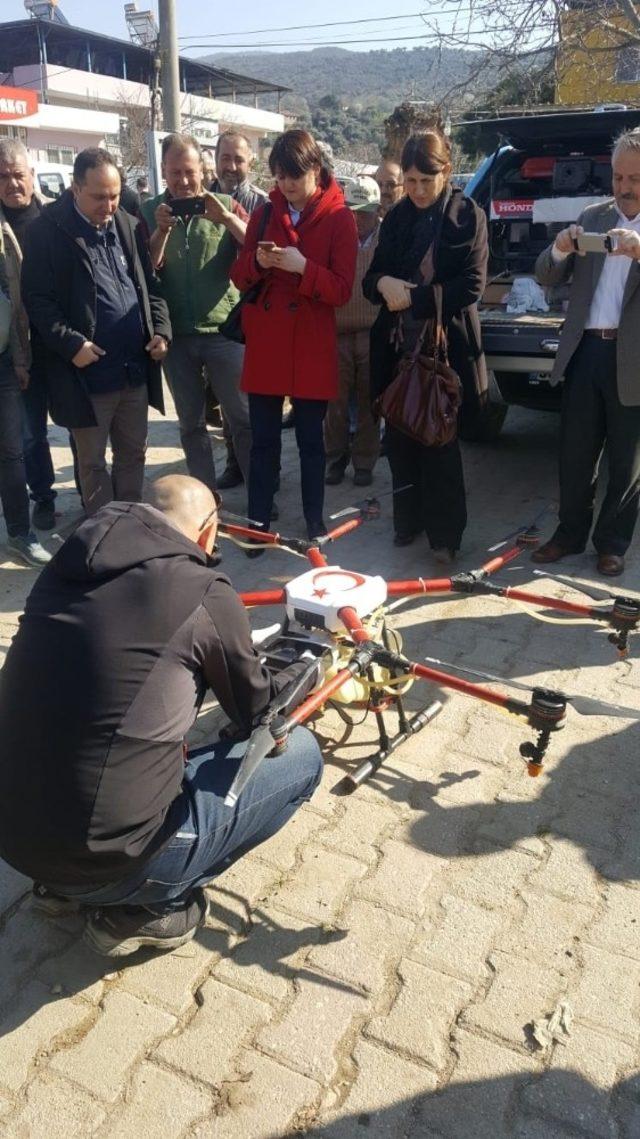 Aydın’da drone ile ilaçlama yapıldı