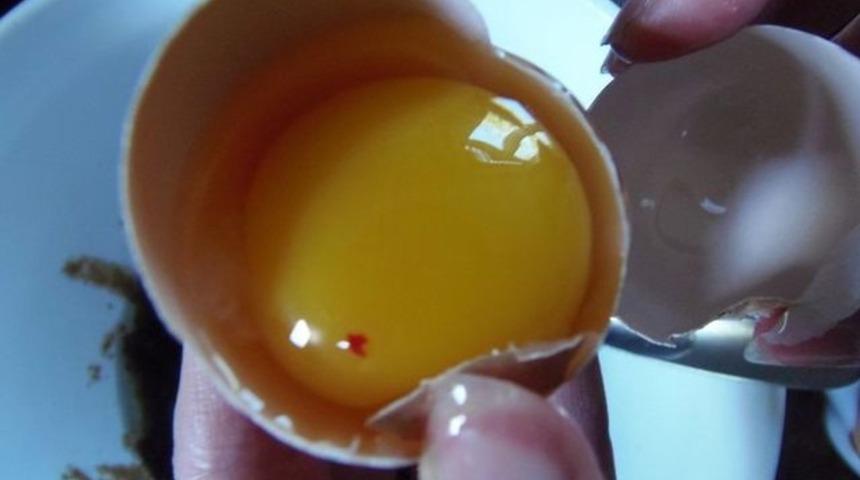 Kafamızda deli sorular: Kan lekesi olan yumurtayı t&uuml;ketmek doğru mu?