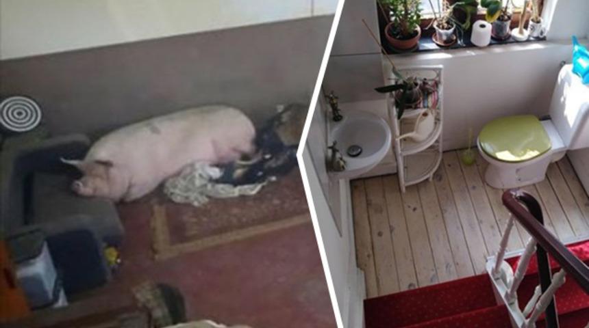 İnsan bazen hayret ediyor! Pes dedirten ev ilanları... 