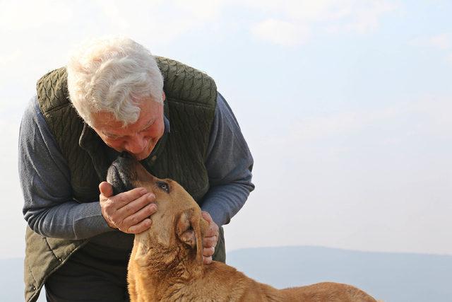 Emekli öğretmen, hayatını sokak hayvanlarına adadı