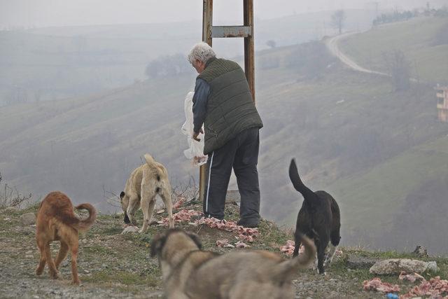 Emekli öğretmen, hayatını sokak hayvanlarına adadı