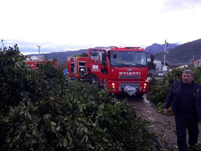 Defne yaprağı kurutma tesisinde yangın