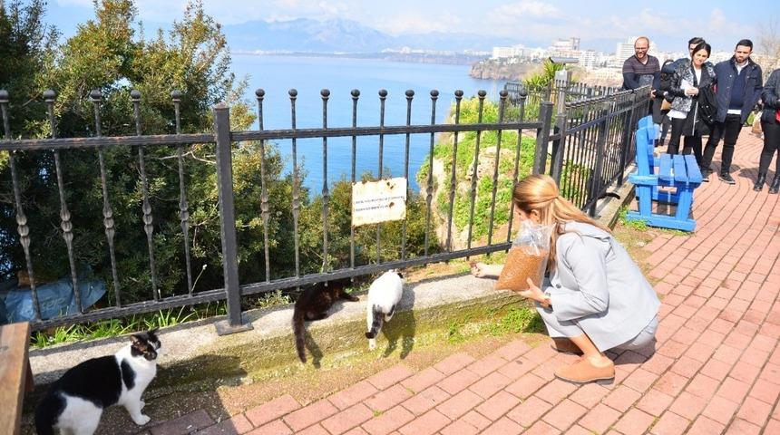 En&ccedil;&rsquo;ten hayvan dostlarına mama hediyesi