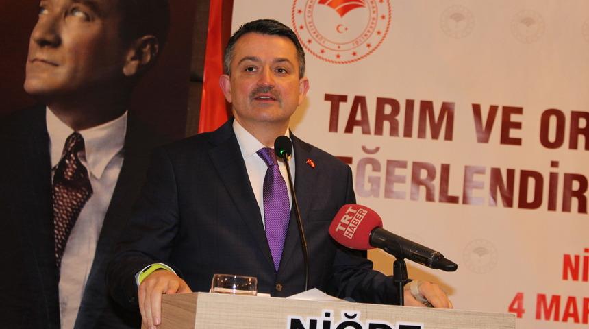 Bakan Pakdemirli: Taraftar patateslerimiz de piyasaya çıkabilecek (2)