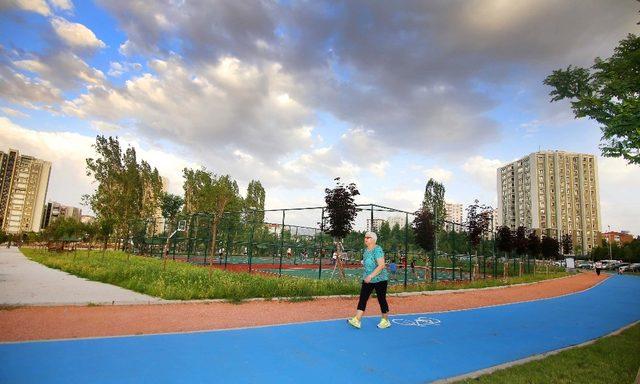 Çankaya parklarına “Plant” ödülü