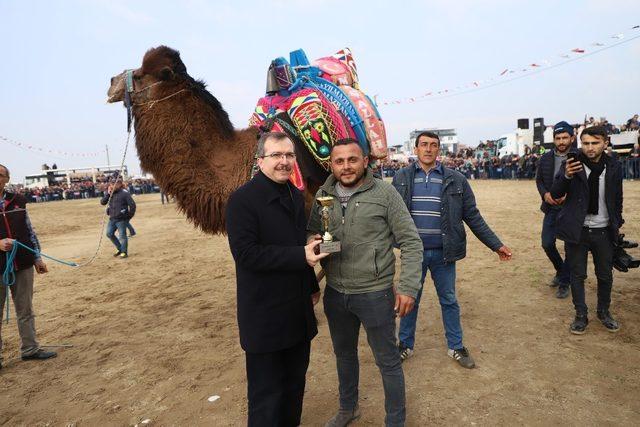 Başkan Şirin’e deve güreşlerinde yoğun ilgi