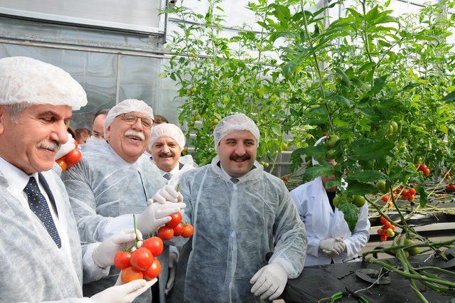 Bakan Varank: 25 dekarlık seracılık yatırımları da 'yatırım teşviki'nden faydalanacak