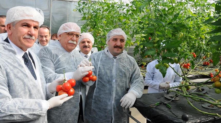 Bakan Varank: 25 dekarlık seracılık yatırımları da 'yatırım teşviki'nden faydalanacak