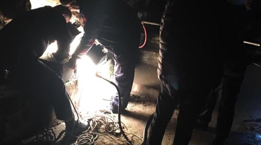 Kuyuya d&uuml;şen k&ouml;peği itfaiye kurtardı