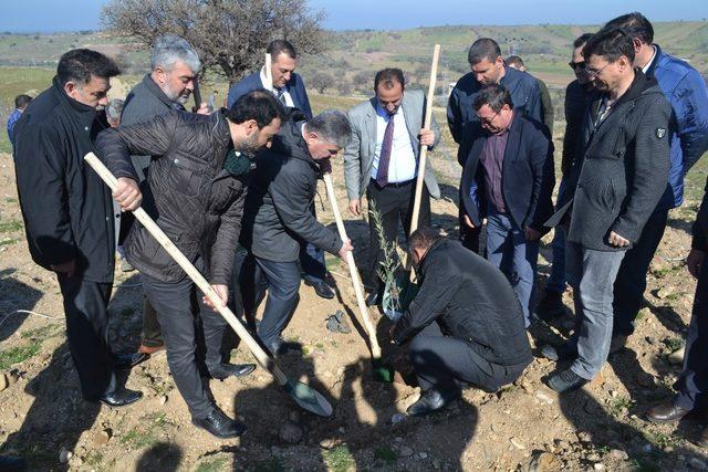 Başkan Şahin: “Ağaç geleceğe bırakılan en güzel mirastır”