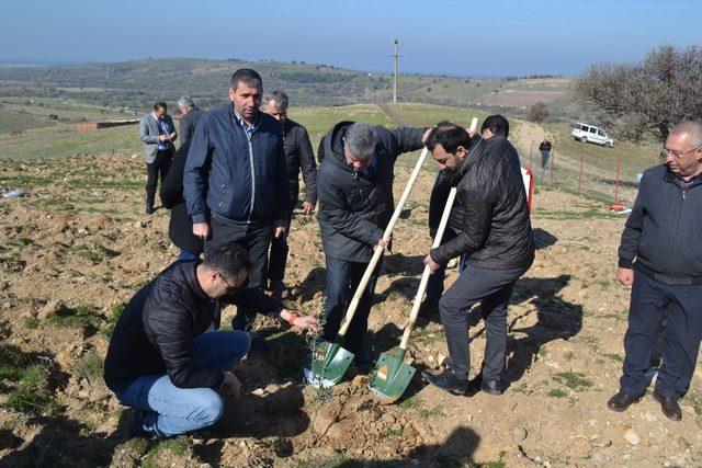 Başkan Şahin: “Ağaç geleceğe bırakılan en güzel mirastır”