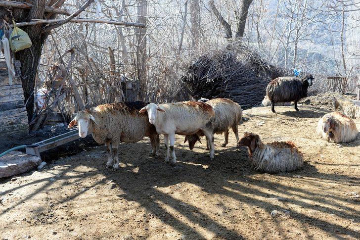 Tokat'ta feci yangın! Böyle bulundular G3