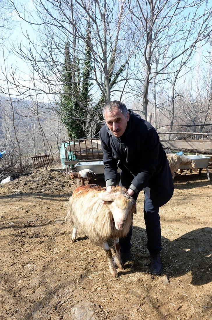 Tokat'ta feci yangın! Böyle bulundular G4