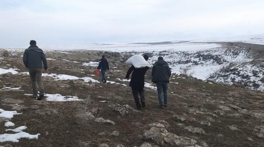 Kars&rsquo;ta yaban hayvanlara yem bırakılıyor