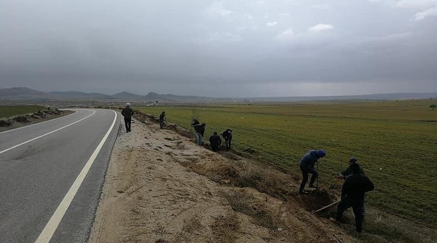 İl &Ouml;zel İdaresi desteğiyle 500 adet ağa&ccedil; dikildi