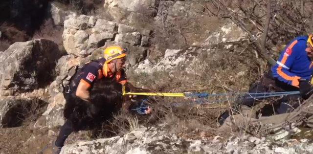Kayalıklarda 2 gündür mahsur kalan keçiyi AFAD kurtardı