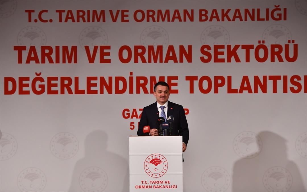 "Kırmızı eti 2-3 sene i&ccedil;erisinde ihra&ccedil; eder duruma geliriz"