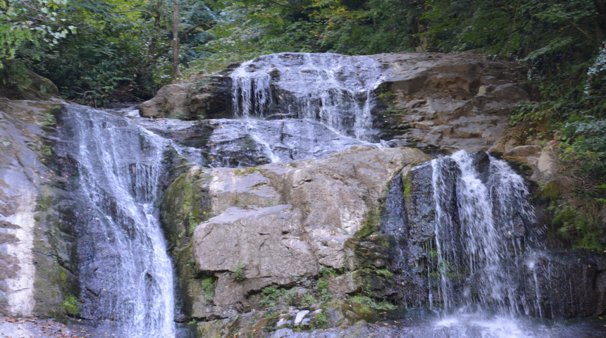 İstanbul'un yanı başında saklı bir cennet: G&uuml;zeldere Milli Parkı