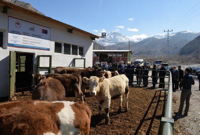 Vali Memiş, Uzundere ilçesini ziyaret etti