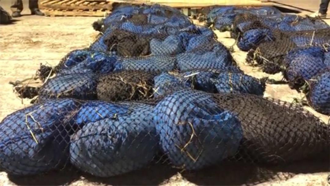 Fileler hareket ediyordu! G&ouml;rd&uuml;klerine inanamadılar