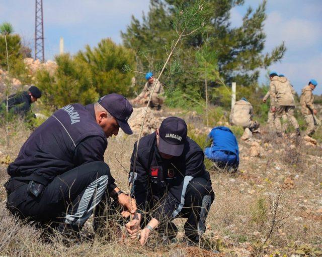 Jandarma’dan ‘180 yılda 180 bin ağaç’