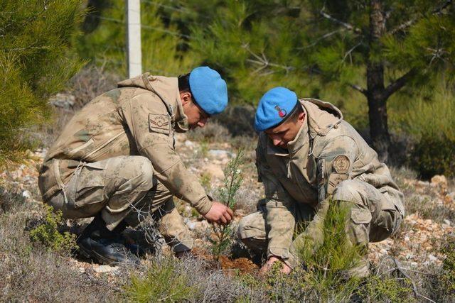 Jandarma’dan ‘180 yılda 180 bin ağaç’