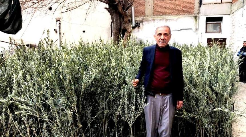 Sarıgöl Ziraat Odasından çiftçilere zeytin fidanı