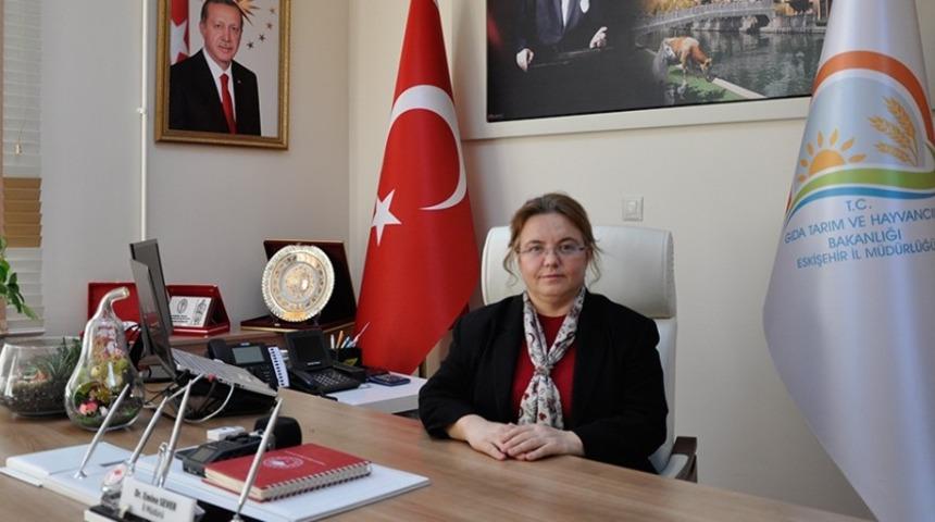 İki ilçede mera alanları ıslah edilecek