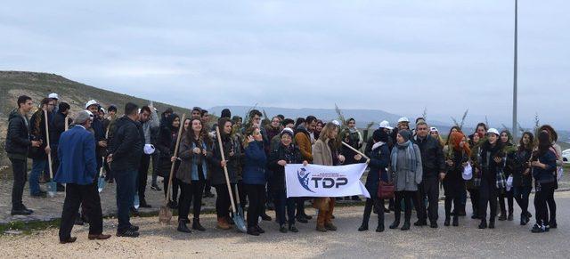 GAÜN öğrencileri 300 fidanı toprakla buluşturdu