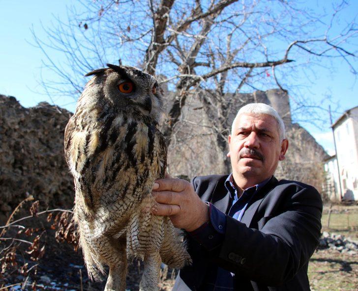 Bahçesinde buldu, iyileşene kadar yanından ayrılmadı G4