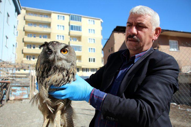 Bahçesinde buldu, iyileşene kadar yanından ayrılmadı G3