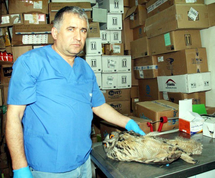 Bahçesinde buldu, iyileşene kadar yanından ayrılmadı G2