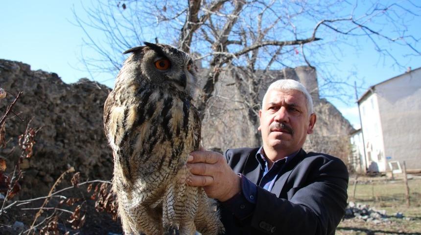 Yaralı olarak bulunan puhu kuşu tedavi altına alındı