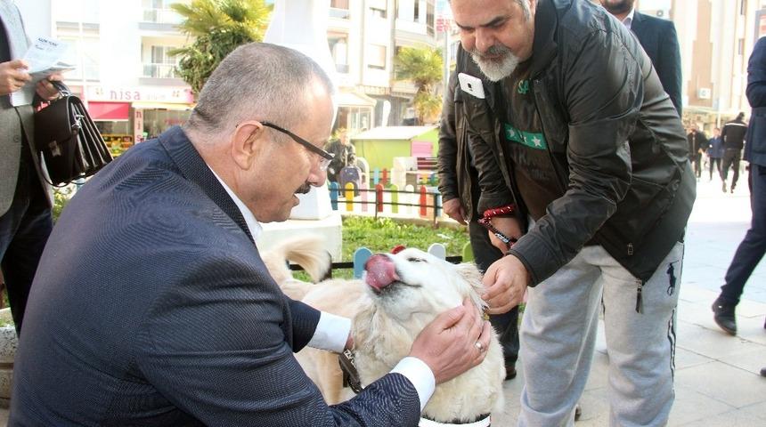 AK Partili Yılmaz: "Sokak hayvanlarını doğal yaşam parkına kavuşturacağız"