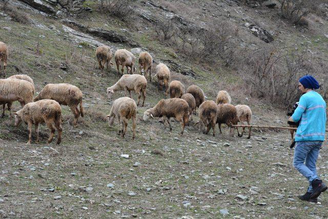 Şehir hayatını terk edip, huzuru ormanda buldular